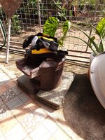 IMG_20250713_151653_049.jpg