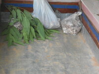 DSCN0925.JPG