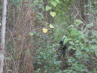 DSCN0936.JPG