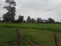 DSCN0917.JPG
