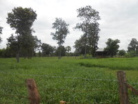 DSCN0918.JPG