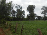 DSCN0919.JPG