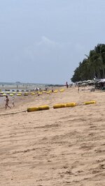 IMG_4377.jpeg