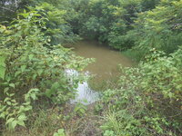 DSCN0945.JPG