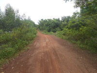 DSCN0942.JPG