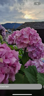 IMG_8785.png