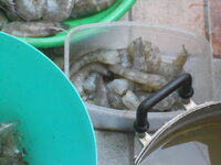 DSCN0626.JPG