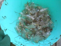 DSCN0625.JPG