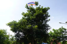 DSC04970.JPG