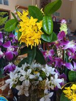 IMG_20250713_095439_792.jpg