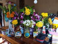 IMG_20250713_095529_949.jpg
