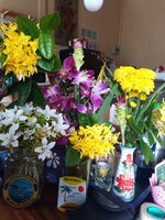 IMG_20250713_095411_568.jpg