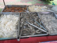 DSCN1074.JPG