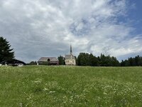 IMG_7274.jpeg