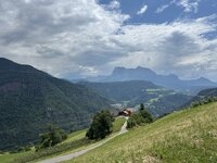 IMG_7308.jpeg
