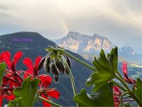 IMG_7344.jpeg