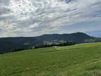 IMG_7429.jpeg