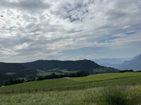 IMG_7430.jpeg