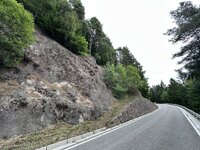 IMG_7433.jpeg