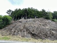 IMG_7432.jpeg