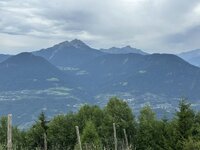 IMG_7436.jpeg