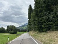 IMG_7438.jpeg