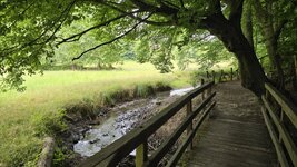 20250715_171429.jpg