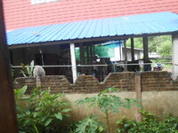 DSCN1053.JPG