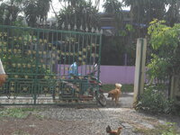 DSCN1056.JPG
