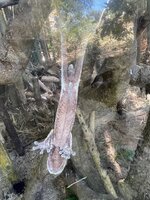 IMG_1534.jpeg