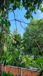 20250717_080852.jpg