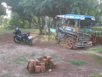 DSCN0981.JPG