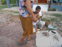 DSCN0987.JPG