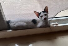IMG_9899.jpeg