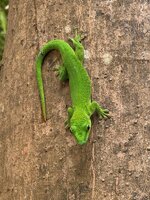 IMG_1928.jpeg
