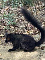 IMG_1912.jpeg