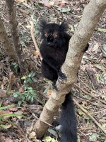 IMG_1926.jpeg