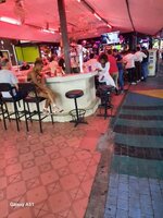2024 Pattaya 2049.jpg