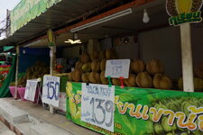 DSC05019.JPG