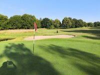 IMG_20250622_080350.jpg