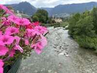 IMG_7449.jpeg