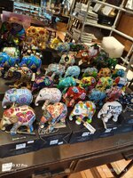 IMG_20250522_125352.jpg