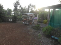DSCN1005.JPG