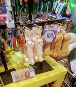 PXL_20250717_061304787~2.jpg
