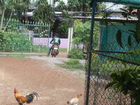 DSCN1157.JPG