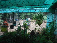 DSCN1155.JPG