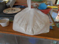 DSCN1154.JPG