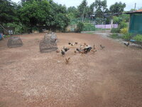 DSCN1479.JPG
