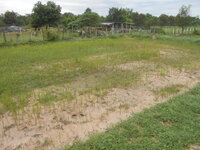 DSCN1124.JPG