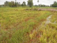 DSCN1125.JPG